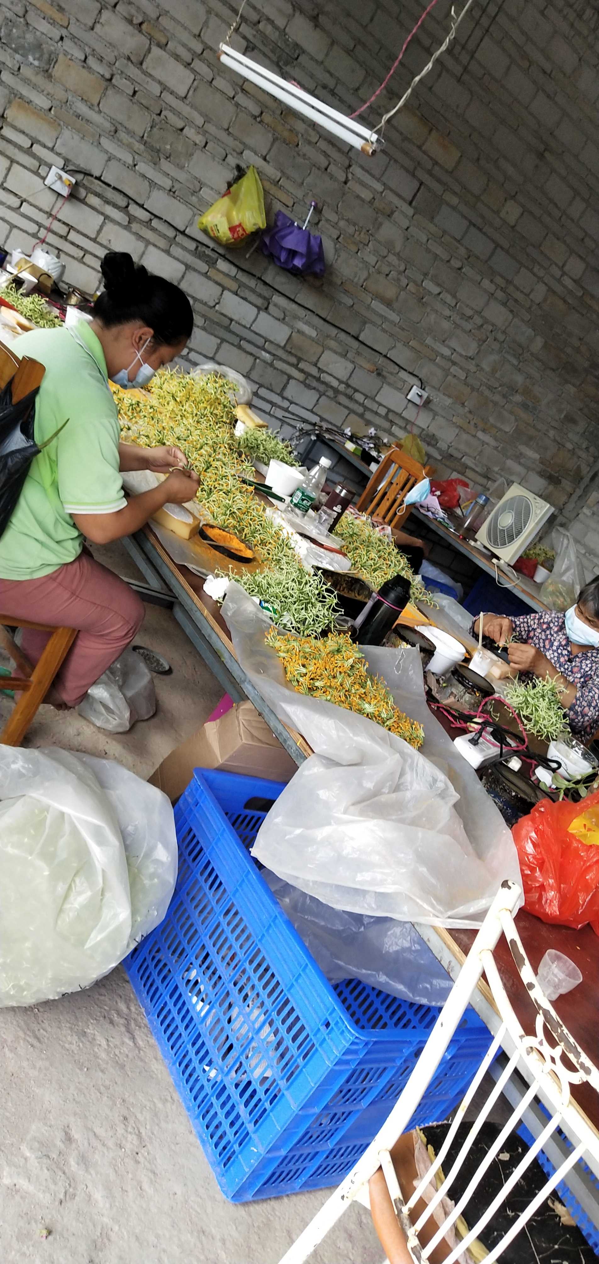 仿真花的制作视频教程,仿真花的花瓣怎么做出来的