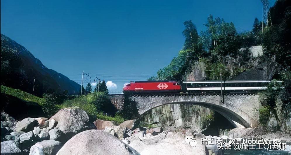 瑞士老司机在成都,瑞士老司机视频