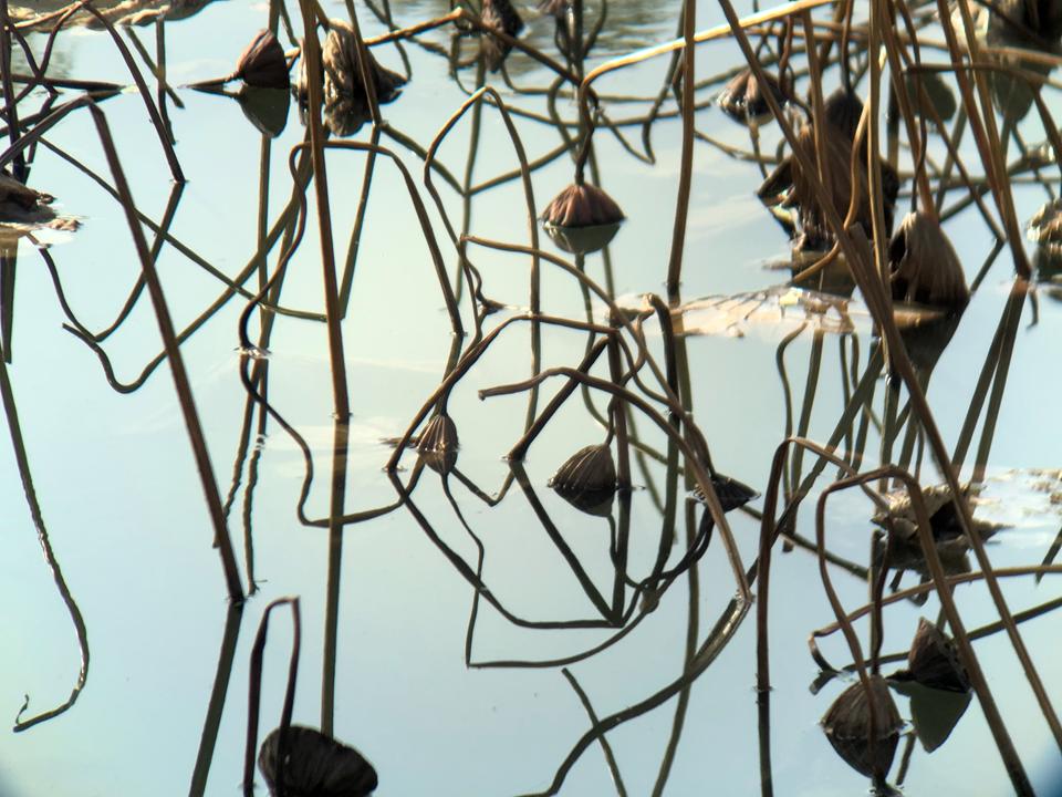 拍照教程教你如何拍出好看的照,教你4个技巧助你拍出光影美照