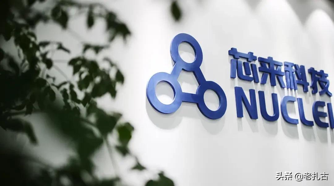 中国risc-v芯片有哪些,risc-v国产soc芯片