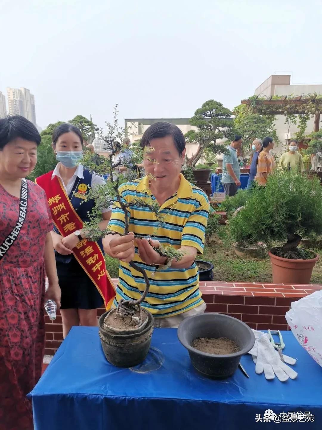 涓浗钁楀悕鐩嗘櫙澶у笀绮惧搧鐩嗘櫙,鐩嗘櫙鑹烘湳瀹跺拰鐩嗘櫙鑹烘湳澶у笀