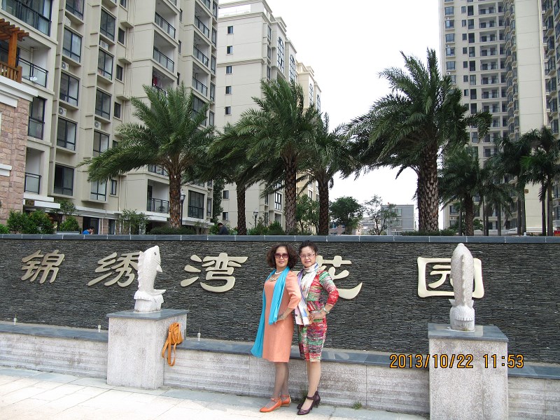 广西北海市候鸟栖息地,广西北海候鸟过冬视频