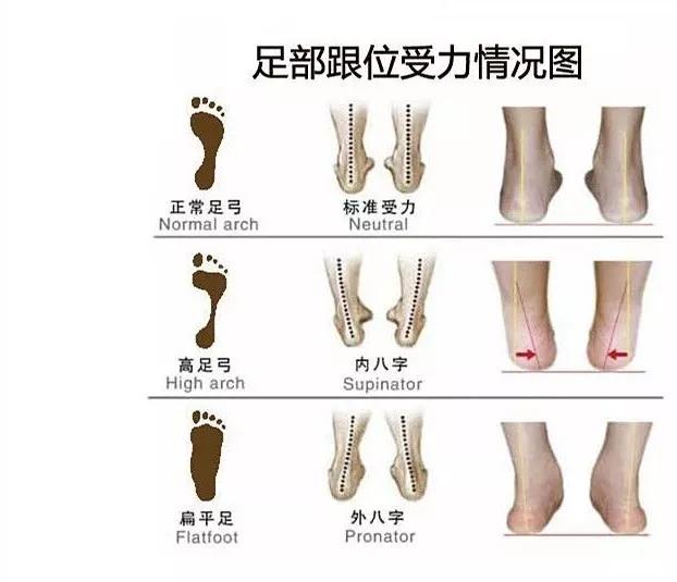 怎么练成大长腿懒人动作,如何练成笔直大长腿