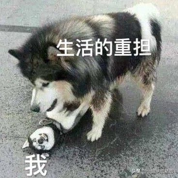 伴手礼行业黑幕,伴手礼盒倒卖