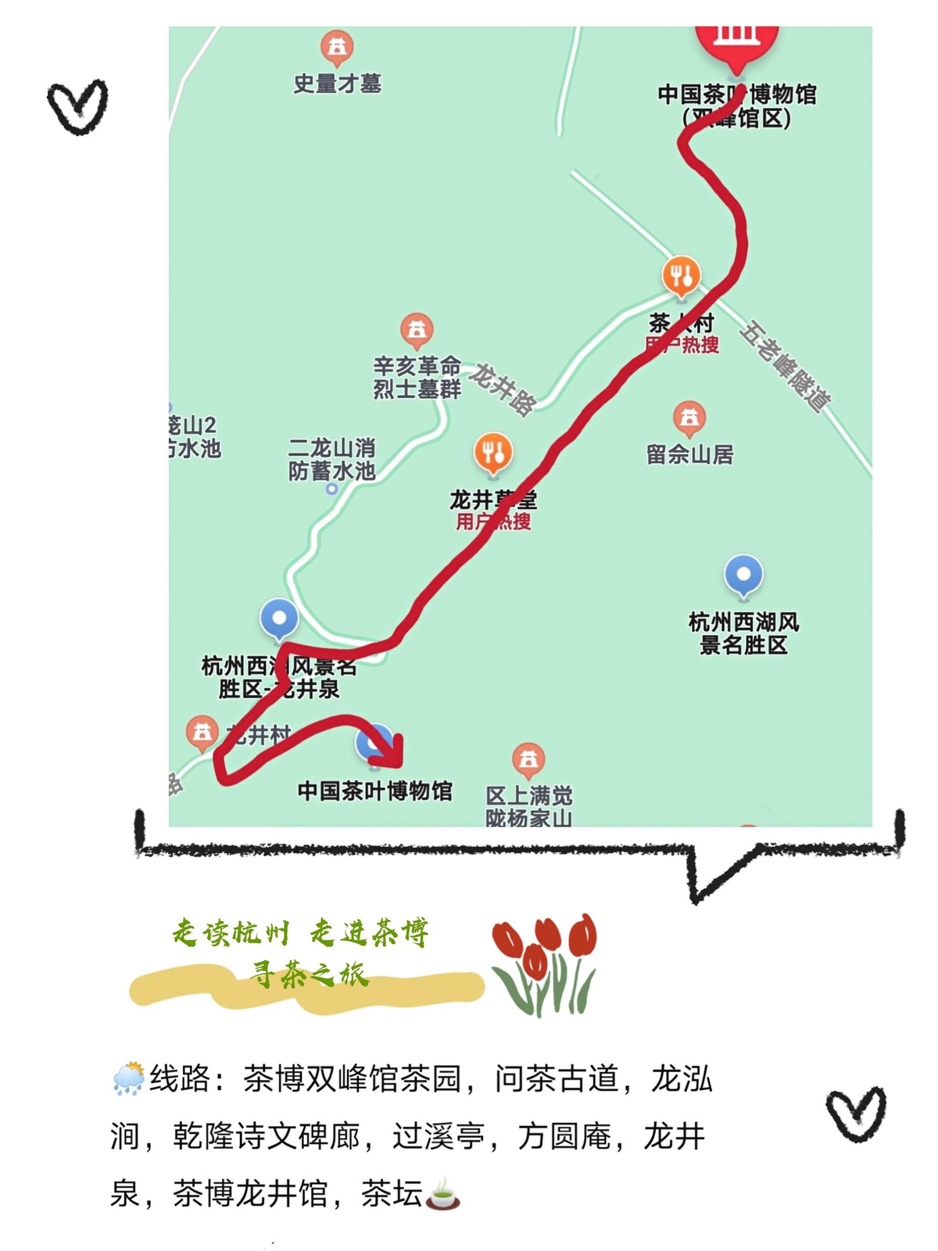 西湖龙井春茶季,龙井茶西湖明前春茶