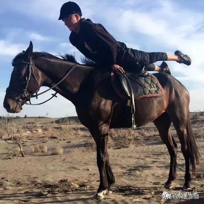 新疆那边的马是什么品种,如何挑选新疆马