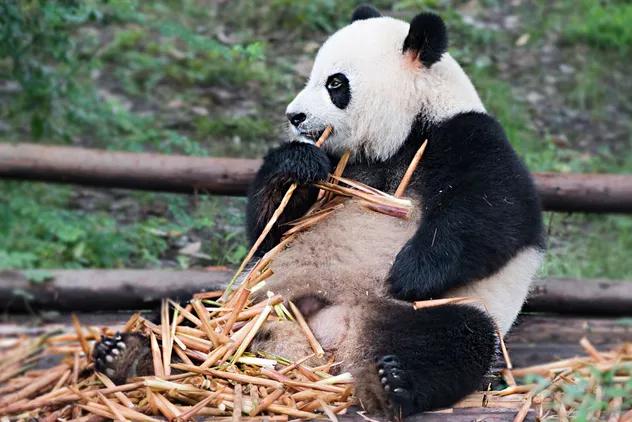 终于等到这一天轻音乐,终于等到这一天粤语