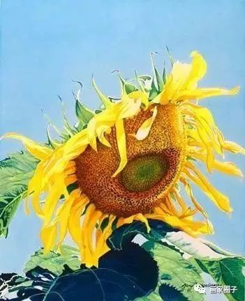 100种漂亮花卉图片,100张漂亮花图