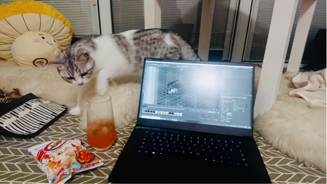 睿米扫地机器人可以自动清理垃圾,扫地机器人睿米扫拖一体全自动