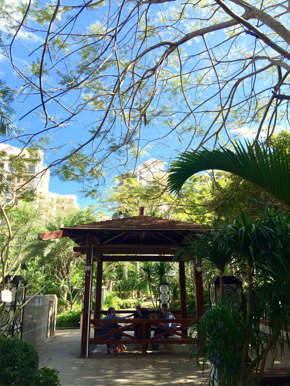 天赐上湾56平一房一厅出售60万,天赐上湾一期复式户型图