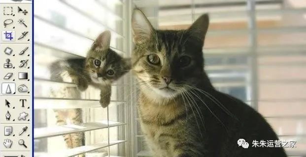 朱朱运营之家：学习PS工具箱中的模糊/锐化/涂抹工具