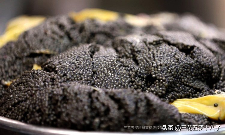 鱼子酱是三大奢侈品美食吗,世界三大美食鱼子酱