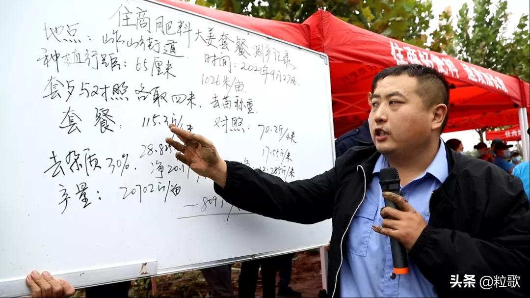 住商肥料“脲醛+”减肥增效中国行:大姜“吃”套餐