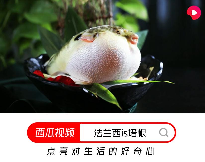 一不小心中了河豚毒，如何科学的保命呢？西瓜视频带你看看