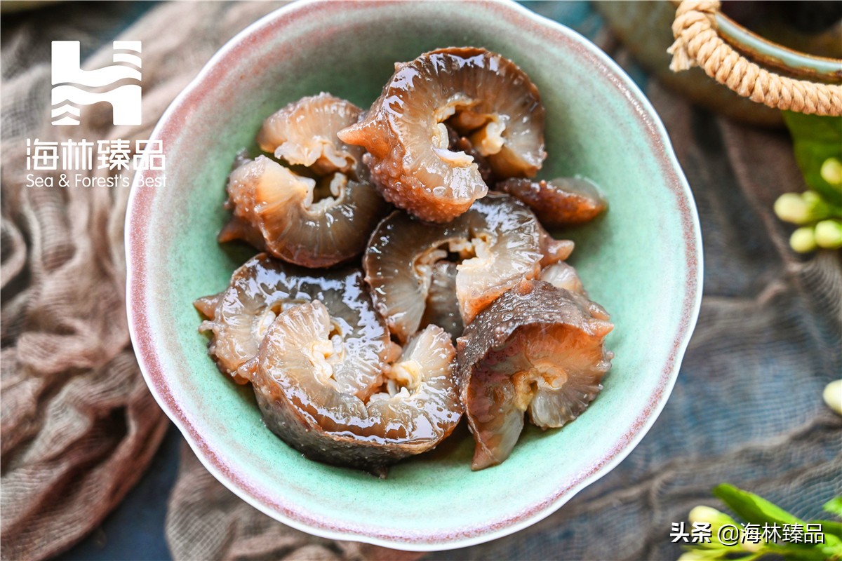野生海参探店,野生海参采捕视频大全