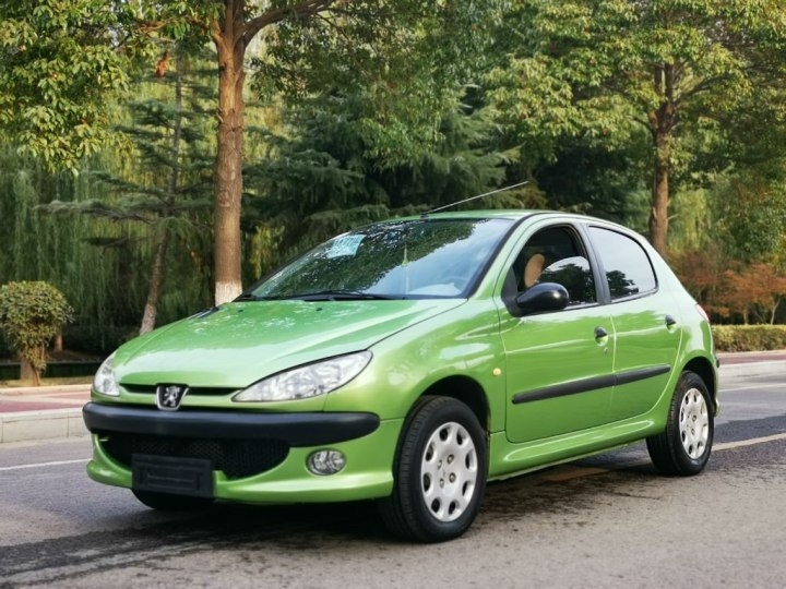 双门版标致206,标致206难得一见的好车