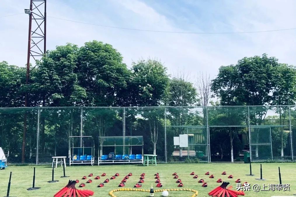 奉贤五一游玩打卡的地方,奉贤休闲度假游玩攻略