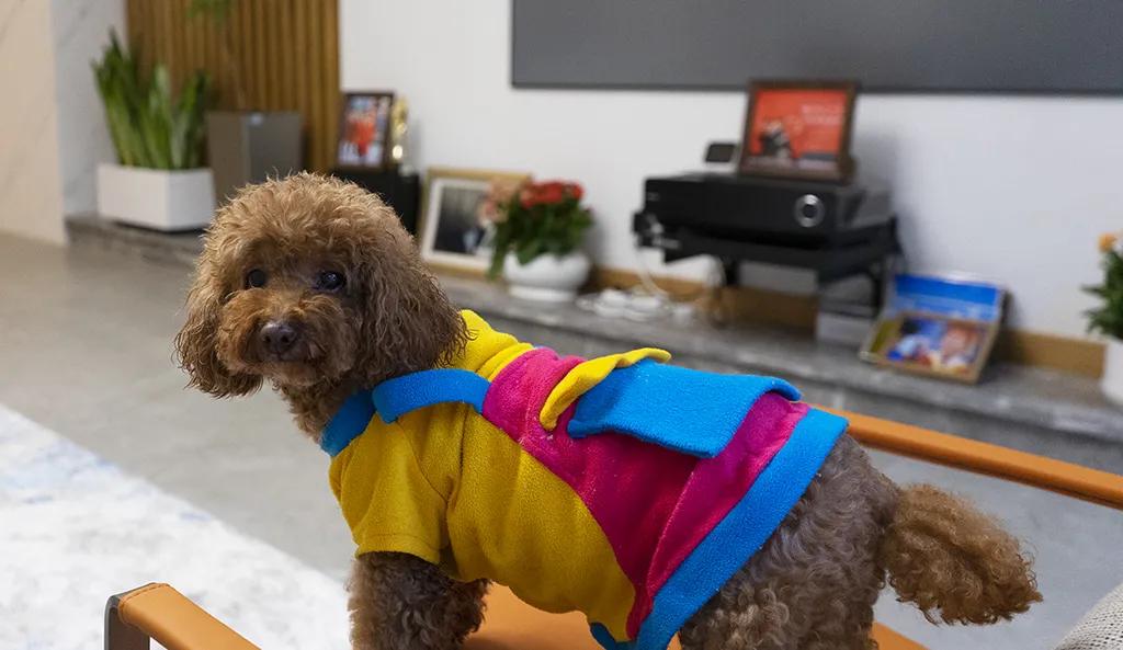 清凉山居叠拼没证,清凉山居别墅300平