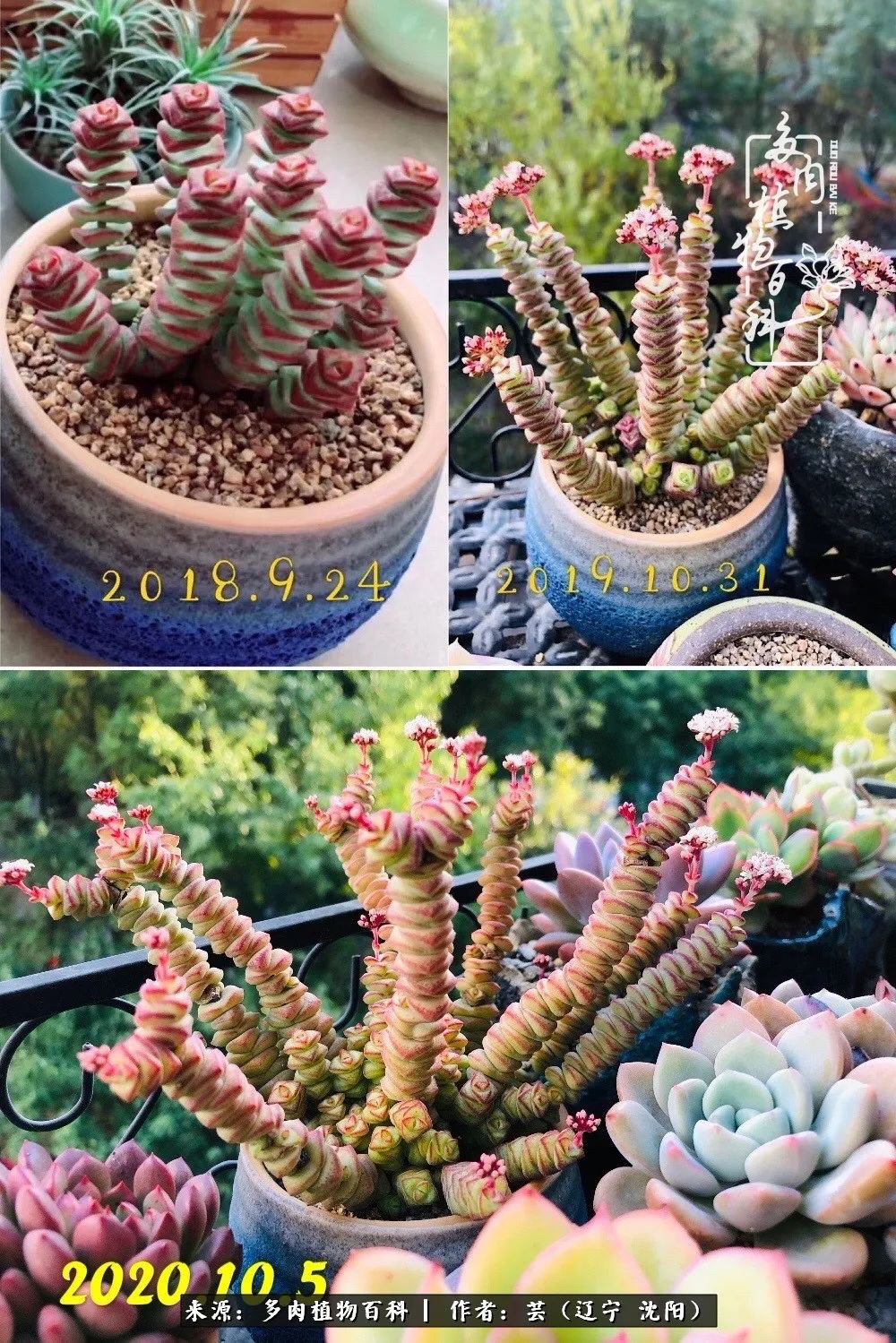 万物皆有灵性有因必有果,万物皆有灵性与生命