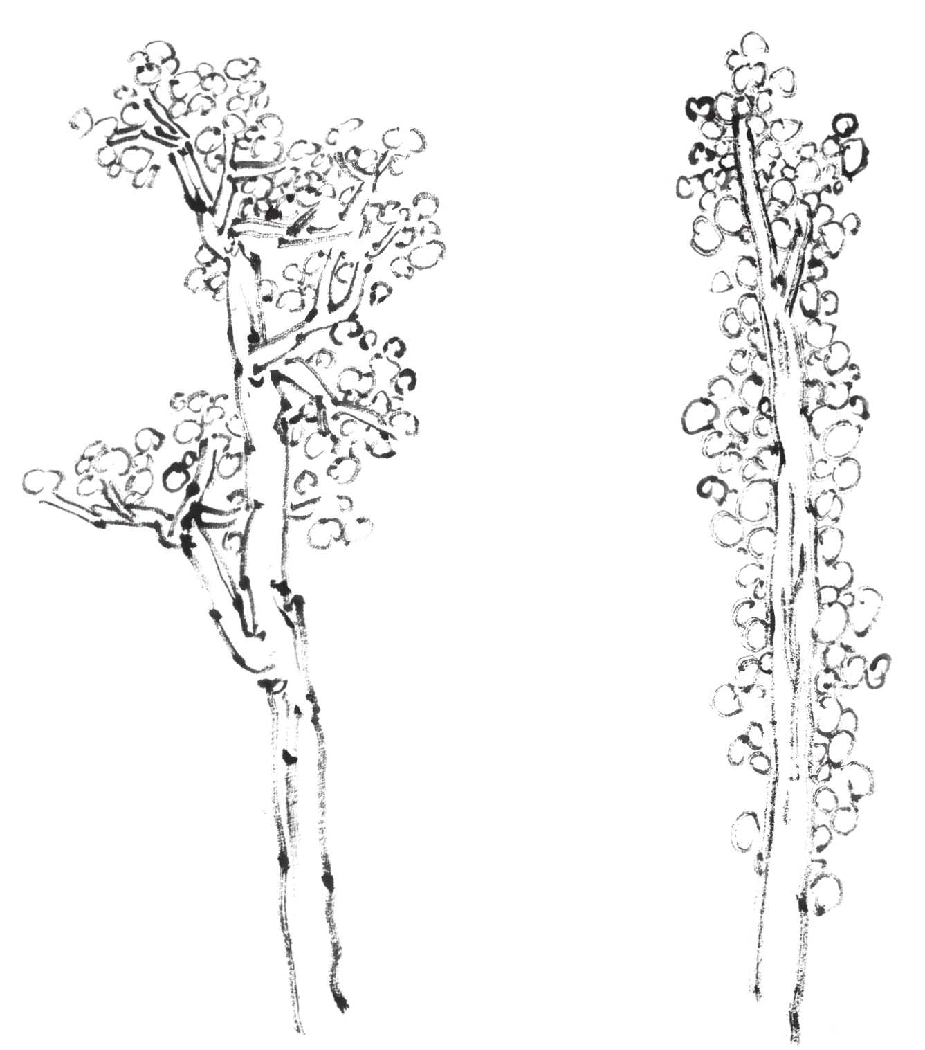 树画简单初学者教程,树画不好看了怎么改