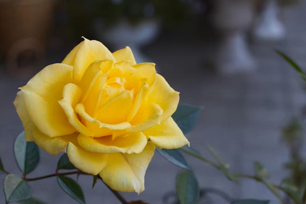 断联又联系了怎么办,断联后如何激发男人主动复合