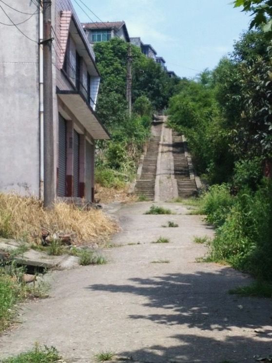 走过58个春夏秋冬,走过55个春夏秋冬