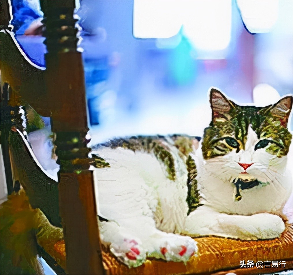 世界上最大的水蛭,世界上最大的水蛭图