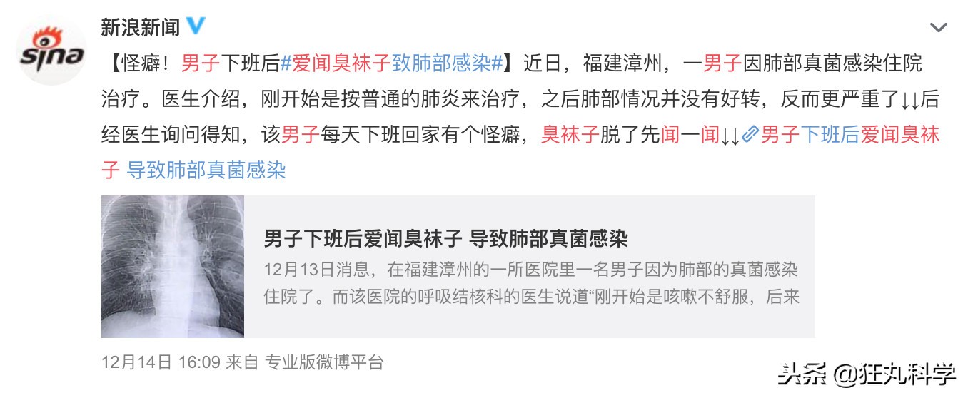 年度沙雕新闻合集,沙雕新闻播报合集