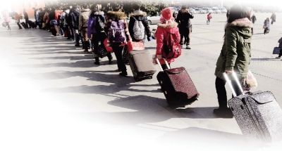 单身狗的正确过年方法,如何快速教狗回家