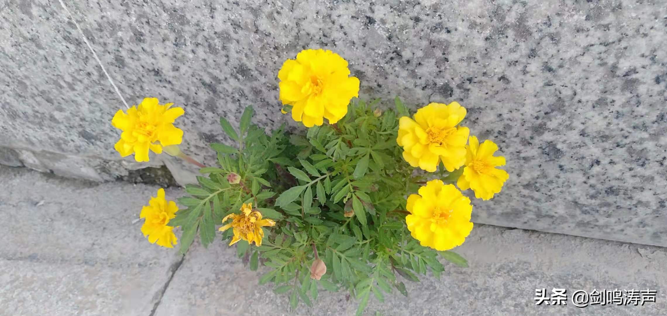 电脑刷机重装系统,电脑如何重装系统