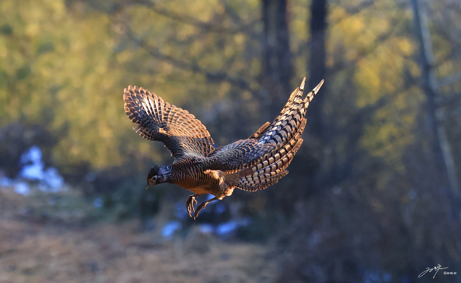 如何用eosr5拍摄视频,eosr5摄影