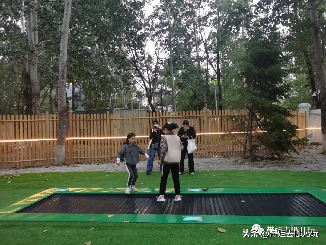 北京五环内新开萌宠乐园,除了喂动物,还能玩大滑梯、免费享帐篷