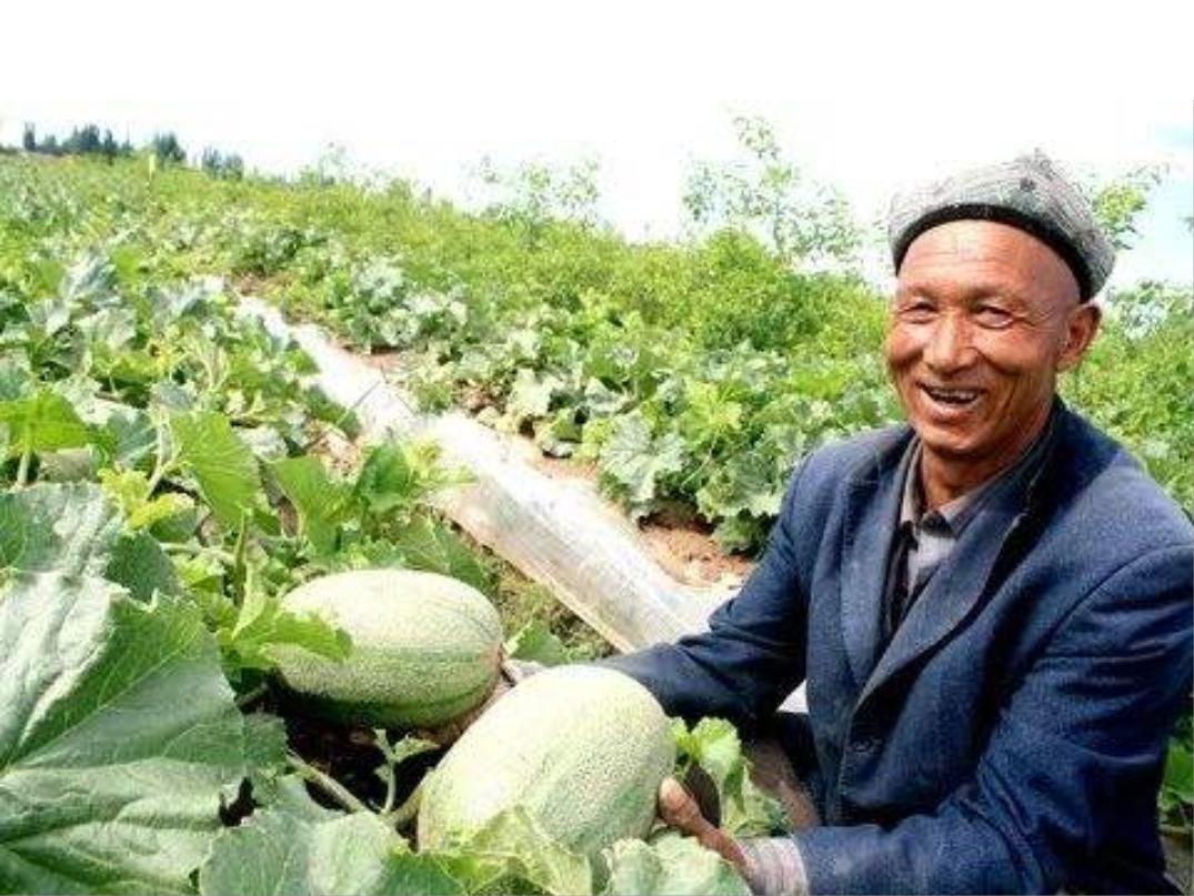 鐤嗘柊鏂囧寲,鏂扮枂浼藉笀鍘夸冀甯堢摐浠锋牸