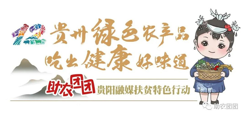 贵州助农团团最新视频,助农团团所有视频