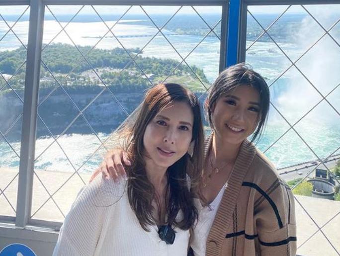 何家劲吴镇宇李婉华,李婉华对何家劲的感情