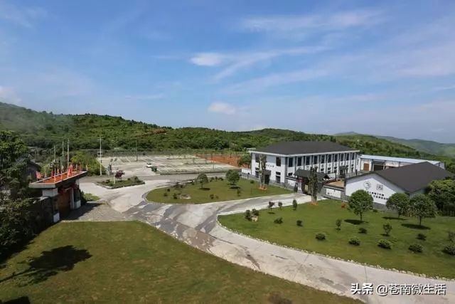 鑻嶅崡姘戝鎺ㄨ崘,鑻嶅崡姘戝浠嬬粛