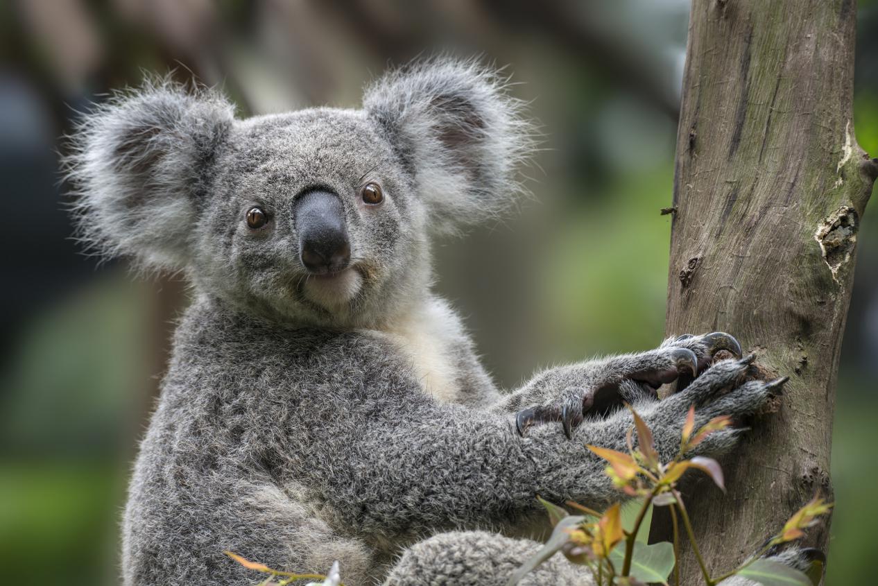 2022广州长隆水上乐园五一,广州长隆水上乐园星火