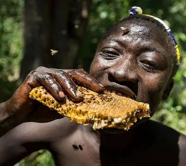 蜂蜜作为食材,蜂蜜食用说明