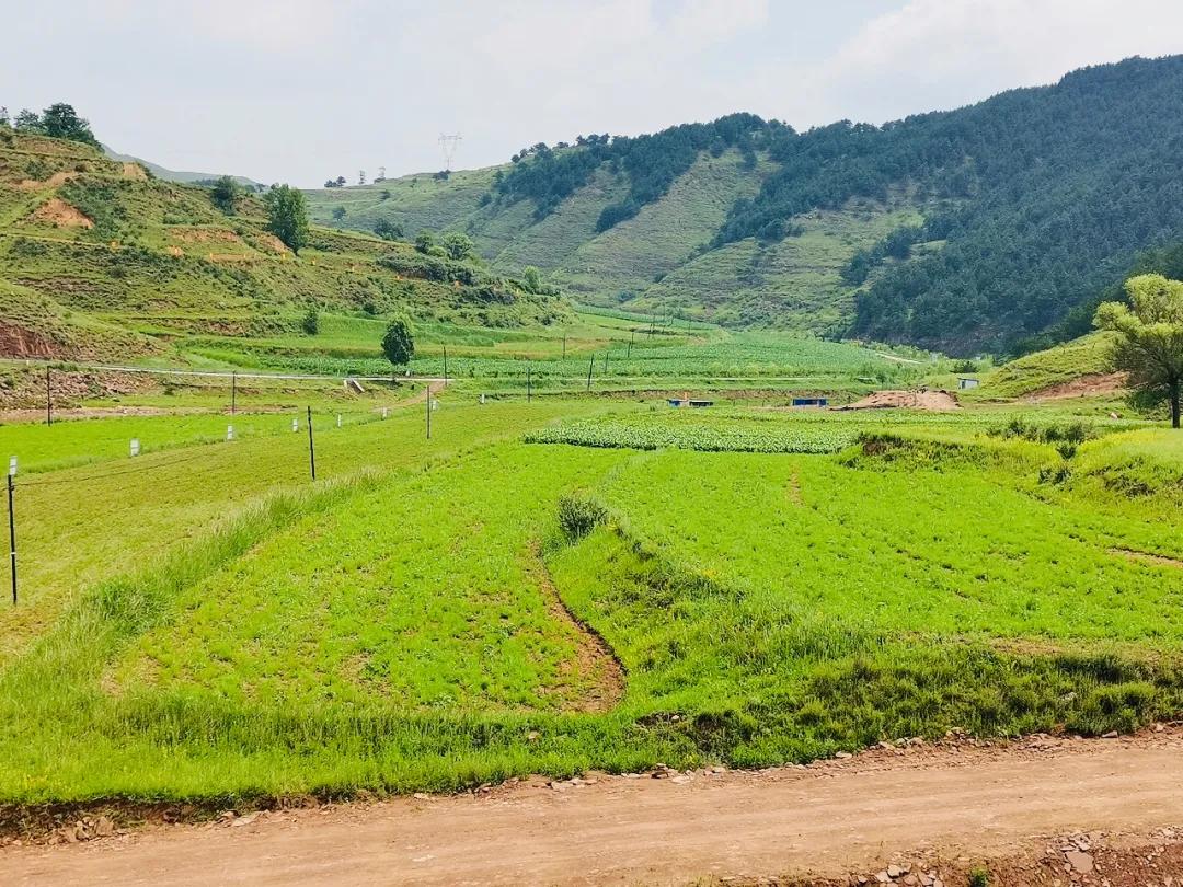 沁源官滩最新规划,沁源乡村振兴产业发展项目