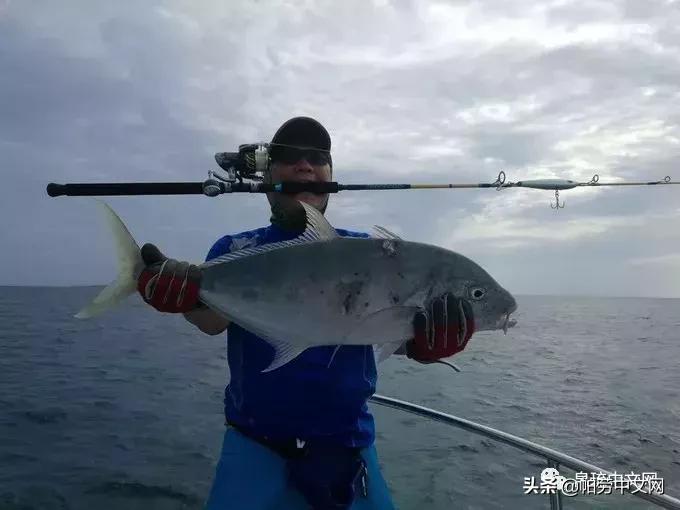 帕劳十大经典玩法,帕劳七大奇迹