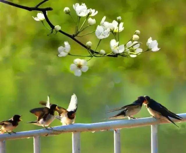 纪念五四运动奋斗的青春更美丽,燃青春忆往昔纪念五四运动104周年