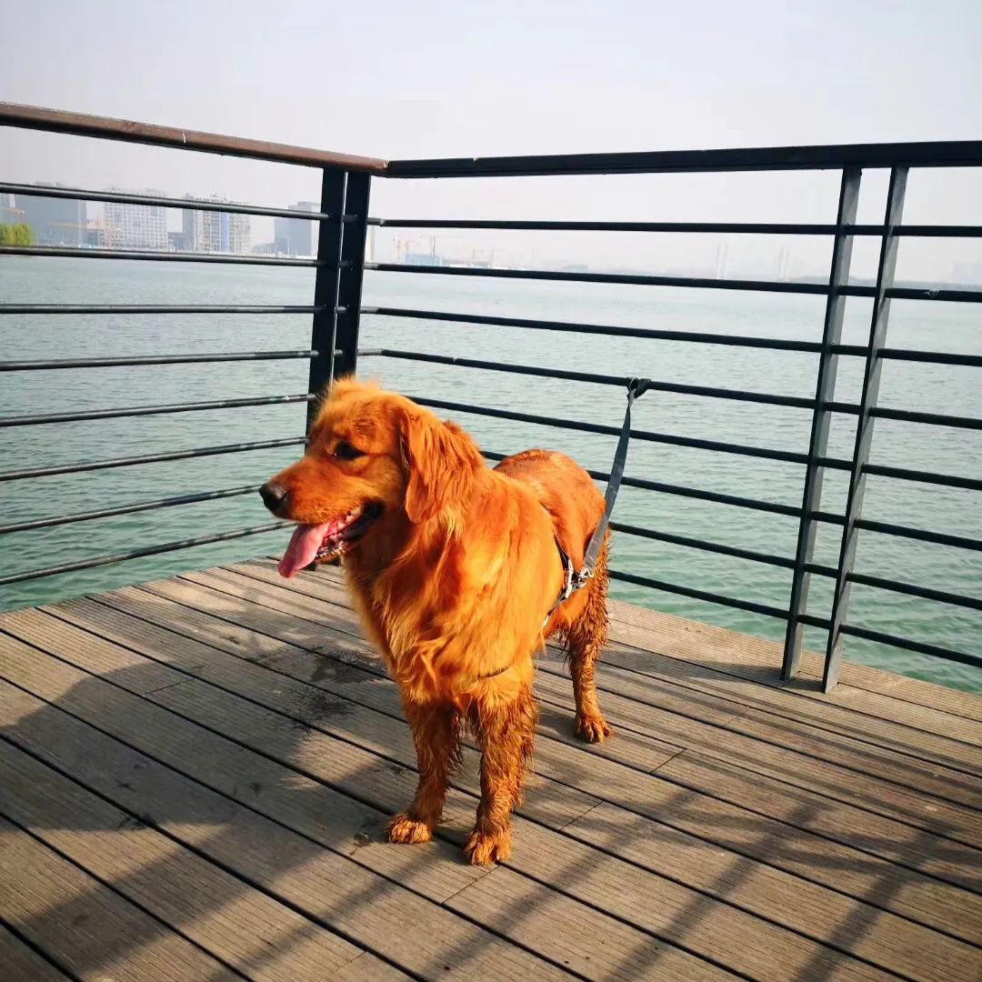 郑州多久可以恢复堂食,郑州堂食什么时候可以恢复