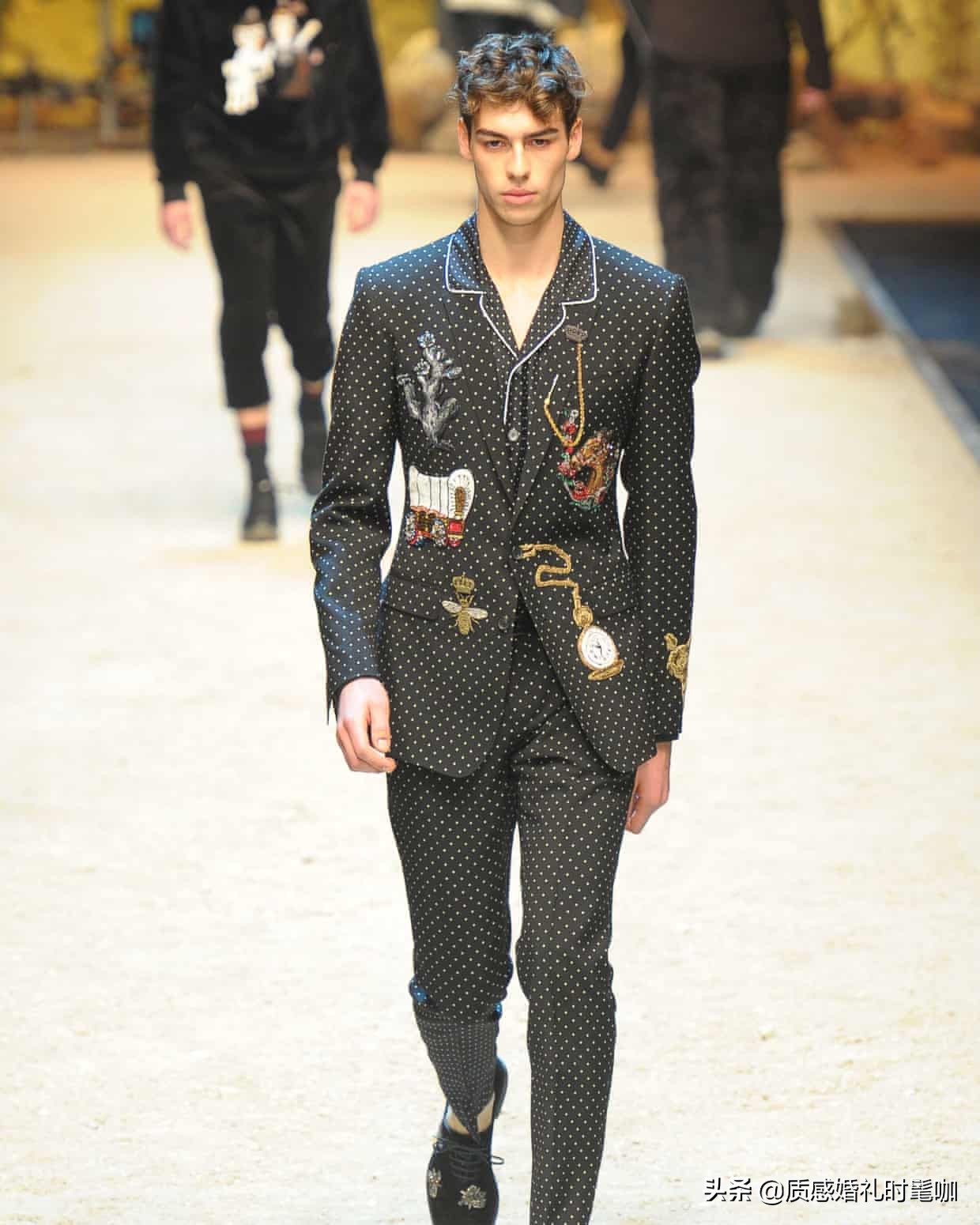 蝗虫算是物种入侵吗,蝗虫是圣甲虫吗