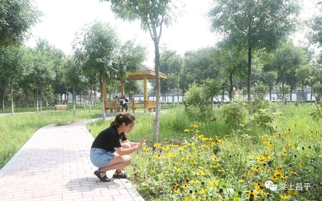 昌平风景区游玩攻略图,北京昌平十大必去的旅游景点推荐