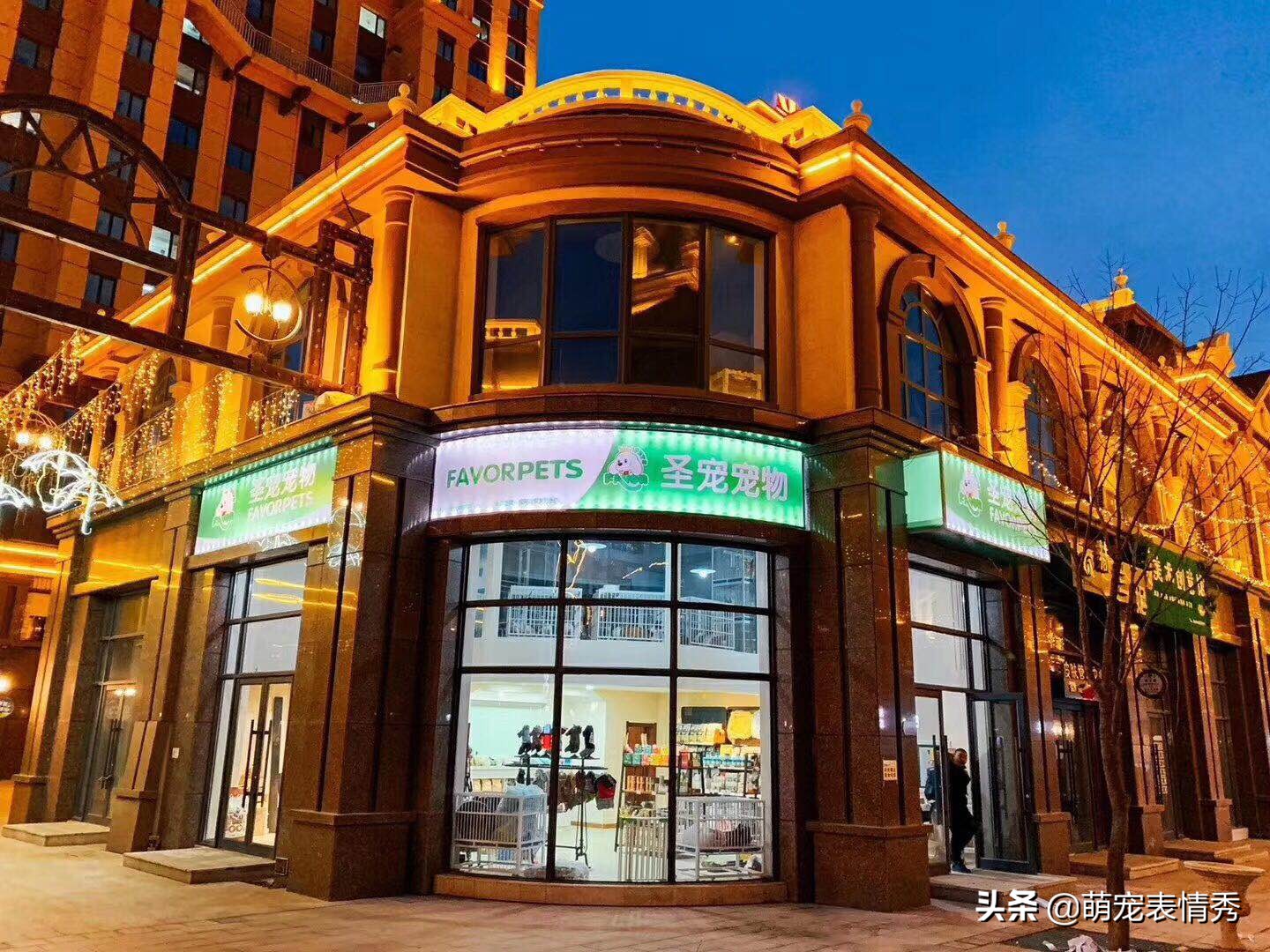 开宠物店怎样开网店好一点,怎么开一家宠物店需要多少钱