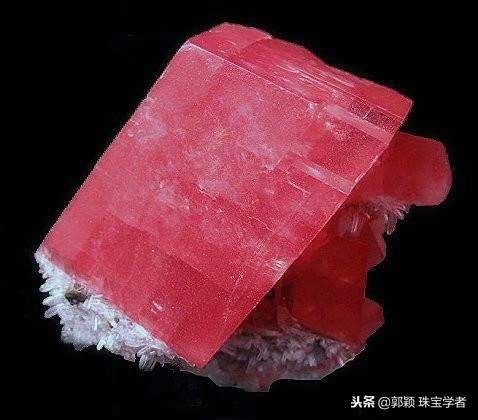 寒冷冬日，让那些永不凋零的“石头花”来温暖你