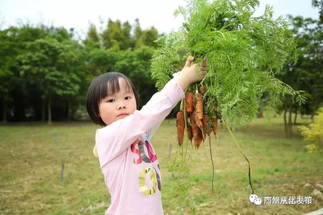 这个暑假去哪个地方玩不热,这个季节去从化有什么好玩的