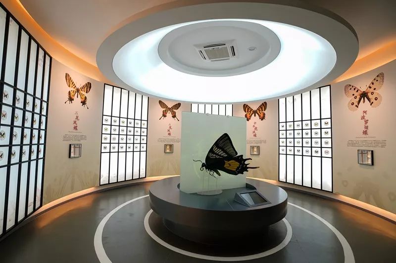 原乡小镇是什么,原乡小镇在哪里