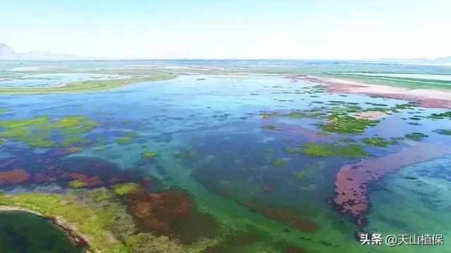 新疆的图木舒克市在什么位置,新疆的图木舒克是在北疆还是南疆