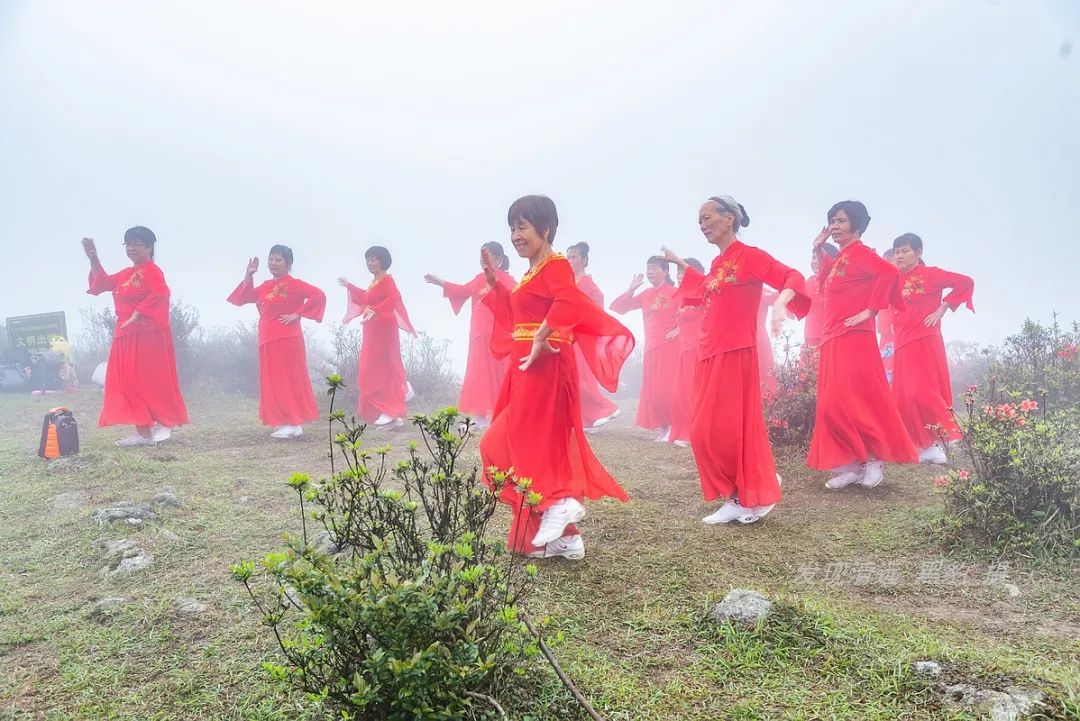 在天露山杜鹃花海丛中劲跳广场舞，这帮广东大妈又火了